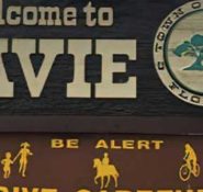 Davie